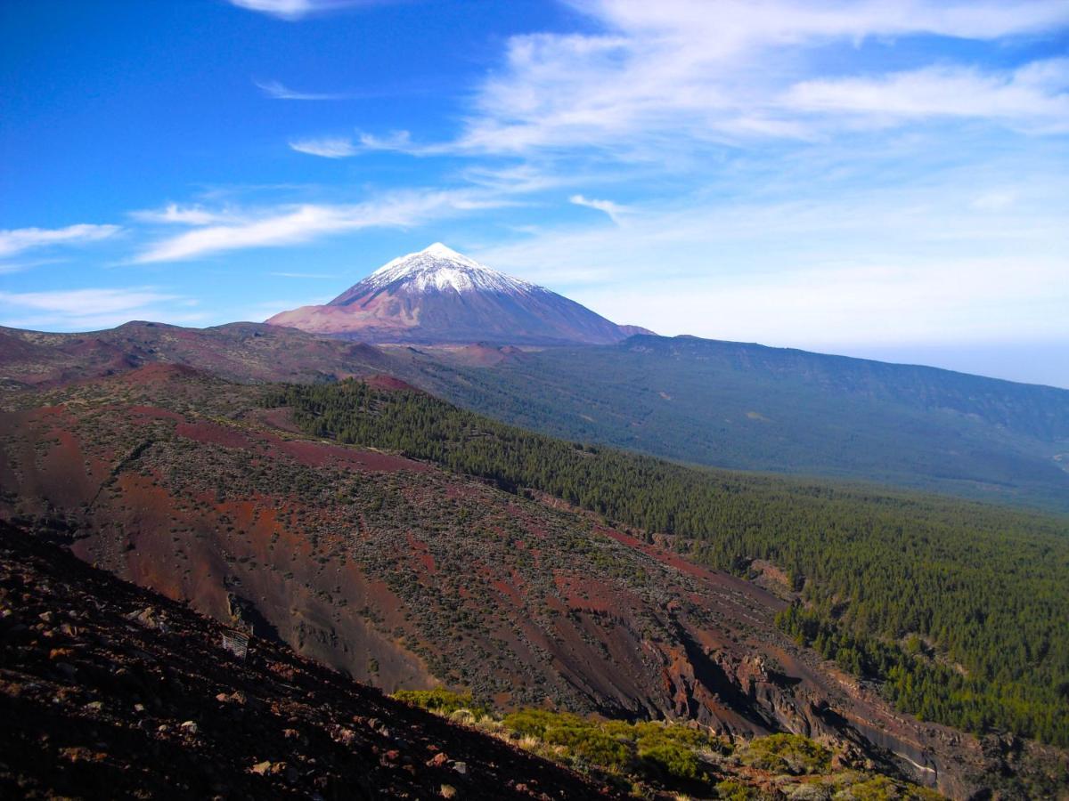 Luis Estudio Adeje Tenerife Sur By Hrtenerife Net Costa Adeje  ภายนอก รูปภาพ