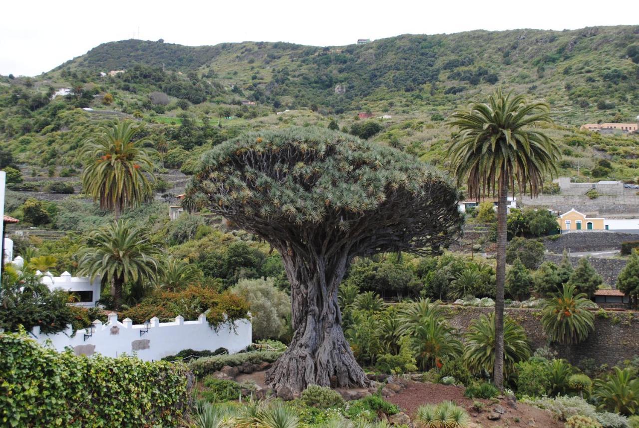 Luis Estudio Adeje Tenerife Sur By Hrtenerife Net Costa Adeje  ภายนอก รูปภาพ